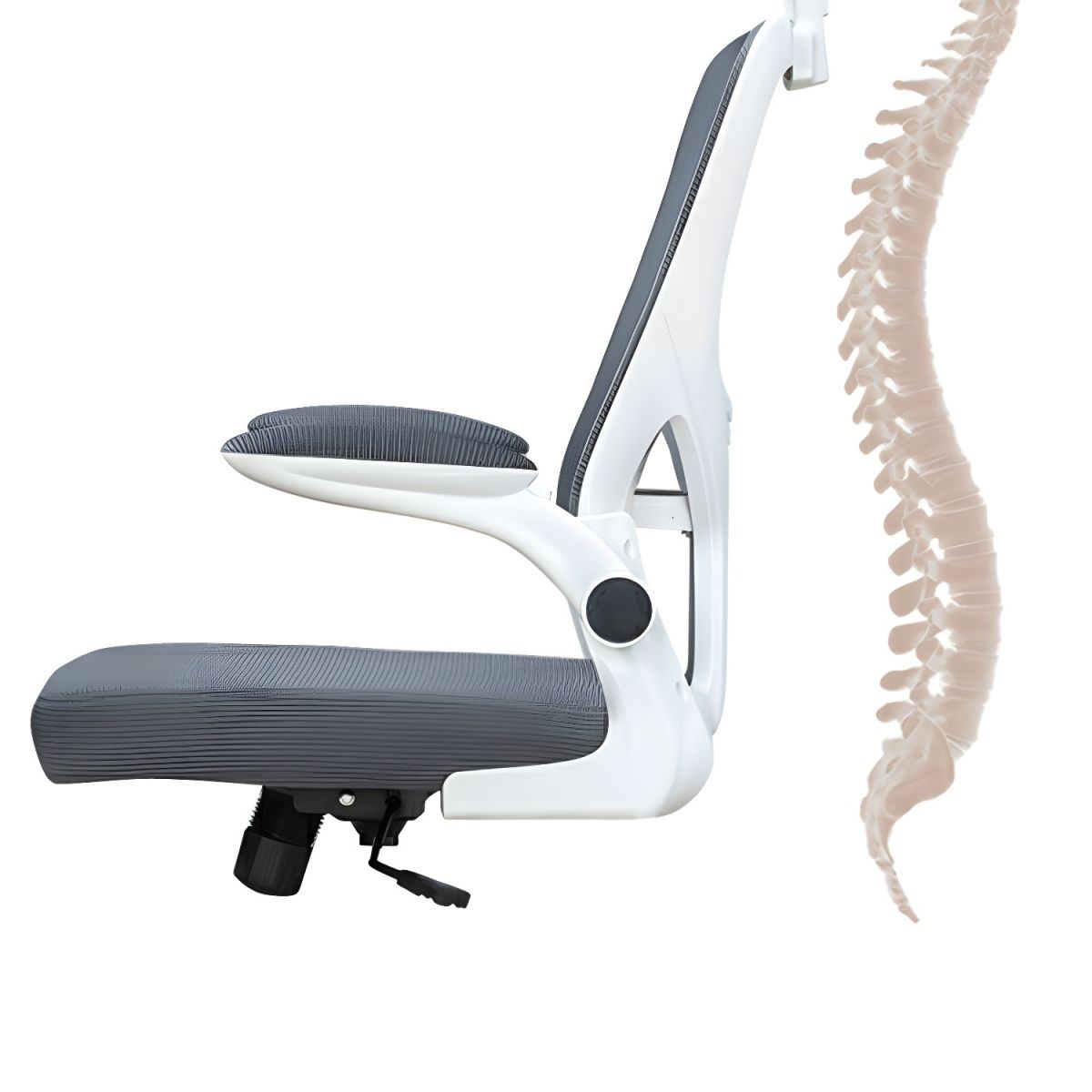 ergonomic office chair with flipping arms, office chair with flip-up arms, ergonomic chair flip arms, office chair with adjustable flip arms, flip arm office chair ergonomic, office task chair with flipping armrests, flip-up arm ergonomic desk chair, ergonomic office chair foldable arms, adjustable arm ergonomic office chair, office chair with folding arms, ergonomic swivel chair flip-up arms, ergonomic chair with movable arms, office chair flip-up arm design, ergonomic desk chair flipping arms, ergonomic chair with lift-up arms, padded ergonomic chair with flip arms, adjustable office chair flip arms, ergonomic mesh chair with flipping arms, office chair with rotatable arms, office chair with foldable armrests, mesh ergonomic chair with flip-up arms, flip armrest chair ergonomic support, ergonomic chair with folding armrests, executive ergonomic chair with flip arms, comfort ergonomic office chair flip arms, breathable ergonomic chair with flip arms, office chair with lift-up arms, chair with adjustable and flipping arms, task chair ergonomic with flip-up arms, ergonomic chair for office with flip arms, ergonomic seating with flip arms, modern ergonomic office chair with flip arms, heavy-duty office chair flip-up arms, ergonomic rolling chair flip arms, flip-up armrest office chair ergonomic, ergonomic chair with detachable arms, 360-degree ergonomic chair flip arms, compact ergonomic office chair with flip-up arms, work chair with flipping armrests, adjustable seat ergonomic flip arms, ergonomic flip-up armrest chair for desk, chair with arms that flip up ergonomic, high back ergonomic office chair with flip arms, stylish ergonomic chair flip arms, flip arm ergonomic computer chair, ergonomic desk chair with collapsible arms, lumbar support chair with flipping arms, office chair ergonomic flip-up arm design, ergonomic home office chair flip arms, chair with flip-up armrests ergonomic design, space-saving ergonomic chair with flip arms, flip-arm mesh back ergonomic office chair, ergonomic chair with movable armrests, chair with ergonomic design and flip arms, office desk chair ergonomic flipping arms, office seating ergonomic flip-up arms, black ergonomic chair with flipping arms, ergonomic computer chair with folding arms, flip armrest ergonomic chair for office desk, ergonomic posture chair with flipping arms, adjustable ergonomic chair with flipping arms, professional office chair flip-up arms, flip arms ergonomic desk seating, ergonomic desk chair with swing-up arms, workstation chair ergonomic flip arms, ergonomic task chair foldable arms, height adjustable ergonomic flip arm chair, ergonomic chair with upward folding arms, ergonomic office furniture flip arms, supportive ergonomic office chair flip-up arms, adjustable back ergonomic chair flip arms, ergonomic desk chair with flip armrests, flip armrest ergonomic mesh chair, office seating with ergonomic flip arms, ergonomic conference chair with flip-up arms, chair with armrests that flip up ergonomic, executive chair ergonomic with flip-up arms, ergonomic reclining chair with flip arms, gaming ergonomic chair with flip arms, ergonomic office chair with retractable arms, flip-up arm support ergonomic office chair, ergonomic office chair with height adjustable flip arms, ergonomic chair folding armrests office, productivity chair ergonomic flip-up arms, mesh back ergonomic flip arm chair, chair with rotating arms ergonomic office, ergonomic armchair with flipping armrests, lightweight ergonomic office chair with flip-up arms, durable ergonomic chair flip arms, high-performance ergonomic chair with flip arms, chair for office with flip-up ergonomic arms, comfortable ergonomic chair with folding arms, ergonomic office chair compact flip arms, space-efficient ergonomic chair with flip arms, flip-up ergonomic seating for desks, office task seating ergonomic flip-up arms, ergonomic workstation chair with flip arms, mesh ergonomic desk chair with flipping arms, ergonomic office chair breathable flip arms, full-back ergonomic chair flip-up arms, adjustable ergonomic seating flip arms, mobility chair ergonomic flip-up arms, back support ergonomic chair with folding arms, hybrid work ergonomic chair with flip-up arms, ergonomic arm support chair flip arms, flip-arm ergonomic desk task chair, breathable ergonomic flip-up arm chair, comfort-focused ergonomic office chair flip arms, mesh ergonomic chair folding armrests, executive ergonomic flip armrest chair, posture-friendly ergonomic chair with flip-up arms, ergonomic mesh chair with lift-up arms, adjustable ergonomic flip-arm chair with wheels, ergonomic desk seating with folding arms, flip-arm office chair ergonomic and supportive, chair with arm flip-up ergonomic back, ergonomic seating with flip-up armrests, adjustable lumbar ergonomic chair flip arms, comfortable ergonomic desk chair with flip arms, ergonomic arm support flip-up office chair, work-from-home ergonomic chair with flip arms, task chair with ergonomic design and flip arms, foldable arm ergonomic mesh chair, flip armrest support ergonomic seating, ergonomic chair with air mesh and flip arms, ergonomic flip-up chair adjustable seat, flip-arm office chair ergonomic mesh back, desk chair with ergonomic flipping arms, lumbar ergonomic chair flip-up arm design, flip armrest comfort ergonomic chair, ergonomic office chair with fold-away arms, flip-up padded arm ergonomic desk chair, flip armrest ergonomic posture chair, arm-friendly ergonomic chair with folding arms, supportive office chair ergonomic flip arms, compact ergonomic seating with flipping arms, adjustable ergonomic office chair with folding arms, productivity ergonomic flip-arm task chair, swivel ergonomic chair with flipping armrests, ergonomic reclining flip-up arm office chair, mesh executive ergonomic chair flip arms, ergonomic chair armrests flip-up adjustable, folding arm office chair ergonomic design, ergonomic backrest chair flip arm support, height and arm adjustable ergonomic chair, ergonomic high back chair with flip arms, slim profile ergonomic chair with folding arms, ergonomic task chair with collapsible armrests, office chair ergonomic rotating flip arms, flip-up arm ergonomic lumbar chair, adjustable flip armrest ergonomic office chair, ergonomic comfort chair with movable arms, ergonomic task chair with foldaway armrests, breathable mesh ergonomic chair flip arms, adjustable ergonomic support chair with flipping arms.