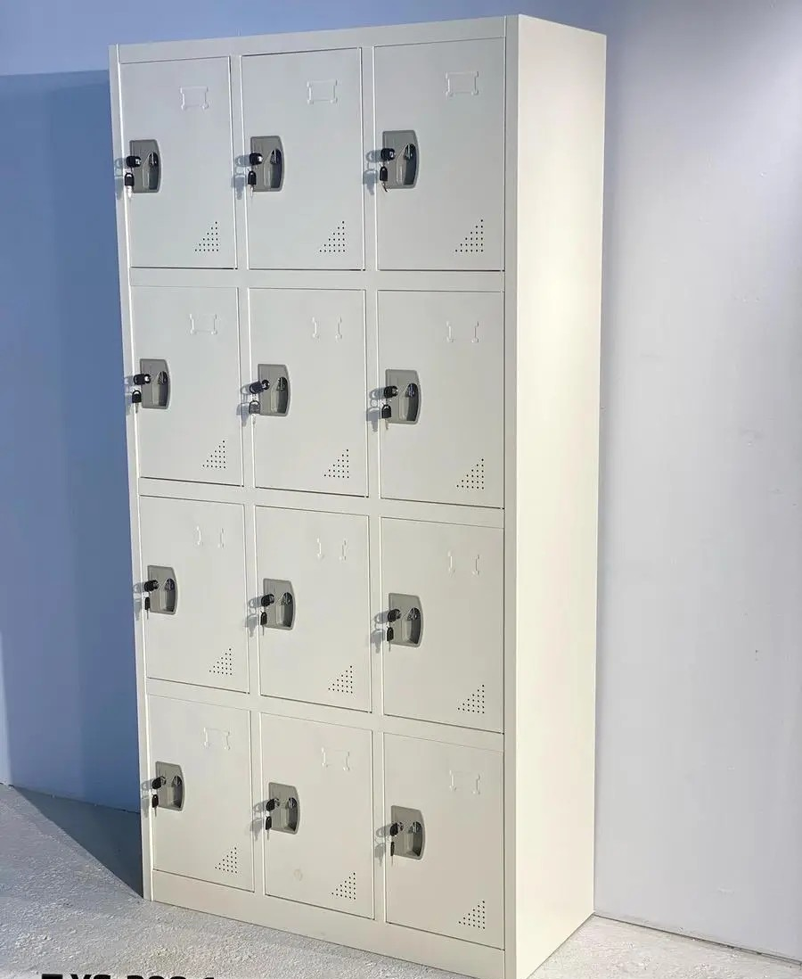 12-locker steel storage cabinet, steel storage cabinet, 12-door locker, steel locker, metal locker cabinet, metal storage locker, industrial locker, multi-door steel cabinet, office locker cabinet, workplace storage lockers, employee locker cabinet, gym locker cabinet, school locker cabinet, warehouse storage locker, commercial locker cabinet, heavy-duty steel locker, durable metal cabinet, steel utility locker, multi-compartment locker, secure storage cabinet, lockable steel cabinet, lockable storage locker, steel security locker, anti-theft locker cabinet, personal storage locker, staff locker cabinet, gym storage cabinet, office storage locker, facility locker cabinet, industrial storage solution, steel equipment cabinet, multi-unit locker, individual compartment locker, keyed locker cabinet, master-key locker system, numeric lock storage cabinet, padlock-ready locker, steel locker with vents, ventilated steel locker, air-flow locker cabinet, powder-coated steel cabinet, rust-resistant locker, corrosion-resistant storage cabinet, scratch-resistant steel locker, robust steel locker, reinforced steel cabinet, stable metal locker, high-quality steel locker, premium storage cabinet, compact locker cabinet, tall steel storage locker, vertical steel cabinet, utility storage locker, organizational locker cabinet, personal belongings locker, employee personal locker, staff belongings cabinet, office valuables locker, secure belongings cabinet, industrial-grade locker, commercial-grade steel cabinet, rugged steel locker, steel compartment cabinet, compartmentalized storage locker, professional storage solution, business storage cabinet, multi-user locker cabinet, office hallway locker, changing room locker cabinet, staff room locker, school hallway locker, 12-compartment locker, metal storage tower, safety storage cabinet, secure metal cabinet, security compartment locker, steel locker for offices, steel cabinet with doors, door-lock cabinet, metal compartment cabinet, secure multi-unit cabinet, employee storage system, personal locker system, organizational steel cabinet, metal utility cabinet, industrial organization locker, steel workplace cabinet, multi-section locker, steel unit storage, office metal cabinet, factory locker cabinet, warehouse locker system, durable office storage, high-capacity locker cabinet, spacious locker system, storage compartments cabinet, multi-tier steel cabinet, office equipment locker, school supplies cabinet, employee gear locker, personal item storage locker, steel valuables cabinet, anti-break-in locker, tamper-resistant steel cabinet, premium steel locker cabinet, quality metal storage, heavy-gauge steel locker, commercial facility locker, institutional storage cabinet, government facility locker, secure multi-access cabinet, uniform storage locker, workwear locker cabinet, PPE storage locker, industrial PPE cabinet, steel cabinet for uniforms, steel janitorial locker, cleaning supply steel cabinet, staff essentials locker, secure gym locker, fitness center locker, recreation center locker, public facility locker, rental locker system, locker bank cabinet, modular locker cabinet, expandable locker system, customizable steel locker, multi-functional locker cabinet, public space locker, transit facility locker, locker room steel cabinet, sports locker cabinet, locker wall system, metal locker array, locker grid cabinet, secure classroom locker, library storage locker, computer equipment locker, electronics storage cabinet, device locker cabinet, steel locker for tools, tool storage locker, tool security cabinet, workshop steel locker, mechanic locker cabinet, utility worker locker, maintenance staff locker, breakroom locker cabinet, cafeteria locker cabinet, medical staff locker, hospital storage cabinet, healthcare locker, clinic locker cabinet, laboratory locker cabinet, industrial facility storage, steel cabinet for factories, production floor locker, secure industrial locker, metallic locker cabinet, steel cabinet organizer, equipment security locker, construction site locker, jobsite locker cabinet, portable locker cabinet (non-wheeled), compact industrial locker, steel storage solution, steel cubby cabinet, metal cubby locker, cubby-style steel cabinet, metal storage organizer, heavy-load steel cabinet, multi-purpose metal locker, multi-purpose storage cabinet, steel locker tower, employee wall locker, mounted metal locker (if wall-mountable), company storage locker, staff safety locker, workplace essentials locker, multi-functional steel storage, secure door cabinet, safety-lock steel cabinet, padlockable locker, code-lock locker, key-lock locker, interchangeable lock system locker, steel security compartments, secure multi-door cabinet, large compartment locker, medium compartment locker, small compartment locker, uniform-size locker, assorted-size locker cabinet, employee ID locker, corporate locker system, staff locker bank, steel locker bank, cluster locker cabinet, multi-bank storage cabinet, industrial shelving locker (enclosed), enclosed steel compartments, anti-corrosion locker cabinet, heavy-duty hinges locker, durable door locker, industrial design cabinet, rugged construction locker, premium build storage cabinet, strong metal locker, warehouse metal storage, property storage locker, bag storage locker, backpack locker cabinet, secure bag locker, steel document locker, file storage locker, bindery locker cabinet, archive locker cabinet, secure file cabinet, multi-door file locker, mail locker cabinet, parcel locker cabinet (small), distribution locker cabinet, document cubby cabinet, employee mail locker, office supply locker, stationery storage cabinet, breakroom supplies locker, secure cleaning cabinet, valuables storage locker, personal safe locker (not safe-rated), facility asset locker, access-controlled locker (if keyed), multi-level storage locker, set of steel lockers, metal cabinet set, metallic safety locker, tough steel cabinet, reinforced door locker, high-security hinge locker, commercial steel organizer, property management locker, tenant locker cabinet, apartment locker cabinet, condo building locker, shared facility locker, workplace safety cabinet, regulated storage locker (general), safety-compliant steel cabinet, durable storage system, compact footprint steel locker, space-saving locker cabinet, narrow locker cabinet, tall narrow steel locker, wide locker cabinet, rectangular steel cabinet, secure tall cabinet, multi-lock steel cabinet, multiple key cabinet, mass storage locker, grouped storage cabinet, storage locker system, industrial metal armoire (style), equipment cubby locker, steel gear cabinet, multipurpose gear locker, staff access locker, assigned locker cabinet, rental storage cabinet, secure student locker, classroom storage metal cabinet, athletics locker cabinet, locker bench combination (if separate), employee check-in locker, personal effects metal cabinet, steel pocket storage cabinet, sturdy steel shelves (enclosed), reinforced panels locker, welded steel cabinet, riveted steel locker, bolt-down steel locker (if mountable), anti-tip steel cabinet, hazard-free cabinet, professional-grade locker, enterprise storage cabinet, secure departmental locker, company asset locker, multi-door secure cabinet, secure inventory locker, office multi-unit cabinet, steel supplies locker, categorized storage locker, sectioned locker cabinet, high-storage-capacity locker, heavy-weight locker cabinet, thick steel locker, powder coat finish cabinet, gray steel locker, black steel locker, white steel locker, industrial grey locker, light gray storage cabinet, neutral color steel cabinet, modern steel design, sleek locker cabinet, contemporary steel storage, classic metal locker, minimalist steel cabinet, functional locker cabinet, practical storage solution, versatile steel locker, multi-use steel cabinet, durable facility storage, security-ready locker, dependable steel cabinet, robust workplace locker, storage locker with vents, airflow metal cabinet, perforated-door locker, industrial ventilation locker, moisture-resistant steel cabinet, odor reduction locker, clean metal storage cabinet, hygienic steel locker, sanitation-friendly cabinet, easy-clean metal locker, wipeable steel cabinet, low-maintenance steel locker, stable metal storage solution, non-corrosive storage locker, stable footing steel cabinet, sturdy steel base, strong welded frame locker, long-lasting steel storage, high-performance steel locker, efficient facility storage, organizational metal unit, staff organizational cabinet, inventory locker cabinet, distribution center storage locker, tool control locker, secure tool management cabinet, heavy-duty gear locker, anti-pry steel locker, tamper-proof locker cabinet, reinforced locking mechanism, industrial-grade lock panel, premium facility locker, large industrial locker, medium steel locker, compact steel locker system, integrated handle steel cabinet, flush-handle locker, recessed-handle steel locker, anti-scratch coating cabinet, impact-resistant steel locker, dent-resistant metal cabinet, safe-edge steel cabinet, workplace safety steel locker, public access locker, commercial venue locker, stadium locker cabinet, event center locker, convention center locker, transport hub locker, airport locker (non-secure), bus station locker (general), locker cluster system, departmental storage cabinet, admin office locker, operations team locker, back-of-house locker, staff prep area locker, service worker locker, hotel employee locker, hospitality locker cabinet, service corridor locker, staff belongings storage, multi-door compartment system, multi-access steel cabinet, key management locker, small valuables locker, purse storage locker, coat storage cabinet (small), multipurpose belongings locker, combination locker cabinet, durable long-term storage locker, lockable metal cubby wall, secure cubby locker cabinet, interior steel compartment system, modular steel storage array, versatile metal shelving locker, compact uniform locker system