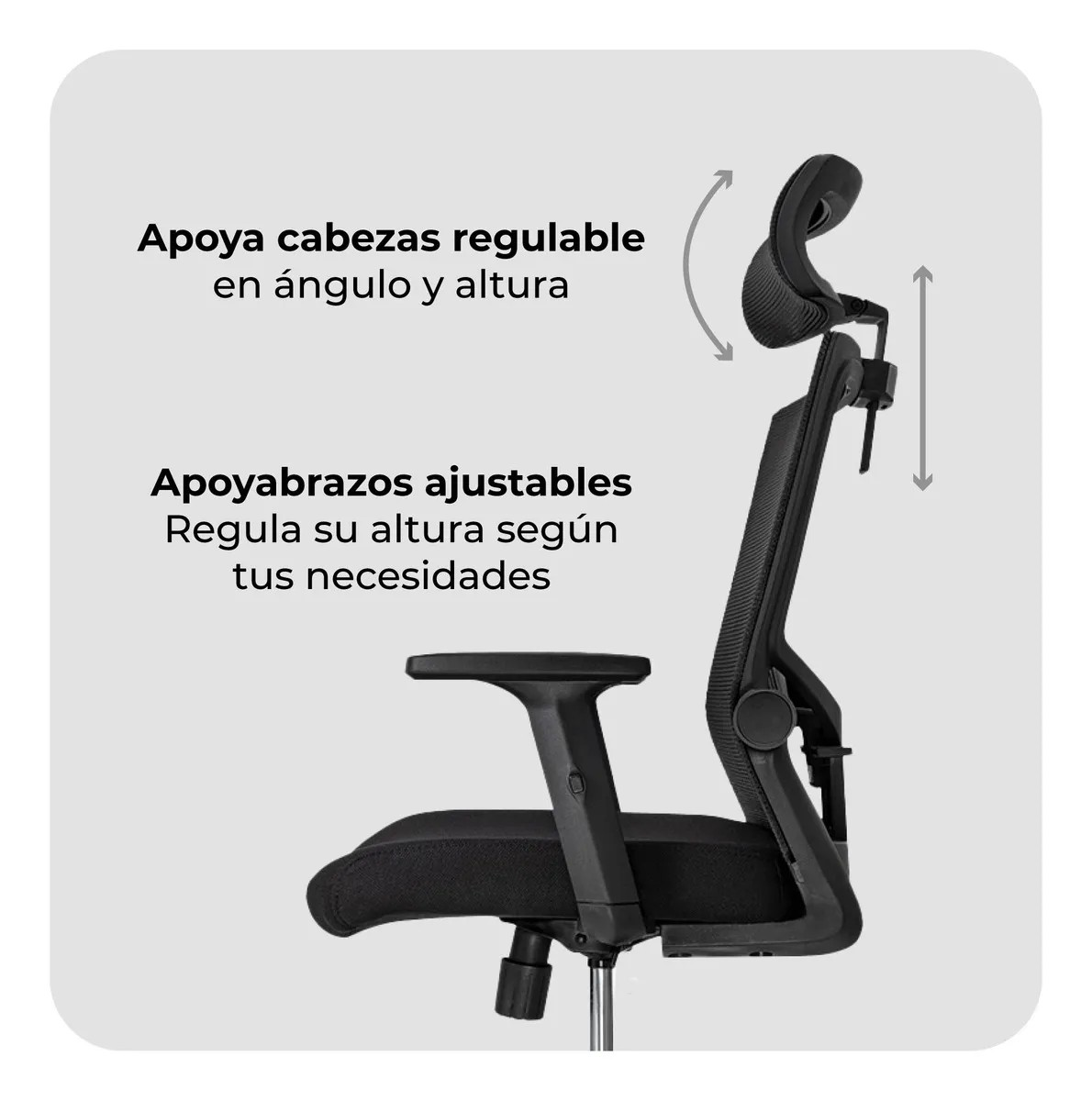 ergonomic high back staff chair, high back ergonomic office chair, ergonomic office chair high back, staff chair high back ergonomic, high back staff chair with lumbar support, ergonomic task chair high back, office chair high back ergonomic, professional ergonomic high back chair, high back office seating ergonomic, ergonomic staff seating high back, executive staff chair high back, comfortable high back office chair, high back office chair for long hours, ergonomic swivel chair high back, high back staff chair with adjustable height, ergonomic chair for employees high back, high back office chair with lumbar support, ergonomic workstation chair high back, high back computer chair ergonomic, high back executive staff chair, ergonomic chair for workplace high back, high back office seating solution, staff chair ergonomic design high back, office furniture ergonomic high back chair, ergonomic high back chair with armrests, high back staff chair with tilt function, high back staff chair with recline mechanism, ergonomic high back chair with lumbar adjustment, high back office chair with mesh back, high back ergonomic chair with mesh support, ergonomic mesh chair high back, high back mesh office chair ergonomic, breathable high back staff chair, ergonomic high back chair with cushion, high back chair with padded seat ergonomic, staff chair high back with adjustable armrests, ergonomic chair with tilt lock high back, high back staff chair with 360 swivel, high back rolling staff chair ergonomic, office chair high back with caster wheels, ergonomic high back chair professional use, high back task chair ergonomic design, staff chair for office employees high back, ergonomic high back seating for staff, high back chair for workstations ergonomic, office chair ergonomic back support high back, staff chair with lumbar support high back, ergonomic high back chair with gas lift, high back staff chair with contoured backrest, ergonomic chair with armrest adjustment high back, high back chair for long sitting hours ergonomic, staff seating solution high back ergonomic, high back office chair for executive staff, ergonomic professional high back chair, high back chair for admin staff ergonomic, ergonomic office staff chair high back, high back chair for IT staff ergonomic, ergonomic workstation seating high back, high back chair for call center staff ergonomic, high back office seating furniture ergonomic, staff chair modern ergonomic high back, high back chair minimalist ergonomic design, ergonomic chair sleek office high back, high back chair contemporary office ergonomic, staff chair high back stylish ergonomic, ergonomic high back chair durable construction, high back staff chair strong frame, ergonomic high back chair commercial grade, high back office chair heavy duty ergonomic, staff chair long lasting high back, ergonomic high back chair maintenance free, high back chair easy to clean ergonomic, ergonomic chair breathable mesh high back, high back office chair professional aesthetics, ergonomic chair modern office high back, high back staff chair corporate furniture, ergonomic high back chair institutional use, high back office chair contract grade, staff chair ergonomic high back for daily use, high back ergonomic seating for prolonged use, office chair ergonomic back care high back, ergonomic chair posture support high back, high back staff chair anti fatigue ergonomic, ergonomic office chair spinal support high back, high back task chair for productivity, staff chair ergonomic design for comfort high back, high back chair ergonomic adjustable height, ergonomic high back chair multi-functional, high back staff chair for corporate offices, office furniture ergonomic seating high back, ergonomic chair for business offices high back, high back executive staff chair ergonomic, ergonomic staff chair with tilt and swivel high back, high back chair for directors office ergonomic, ergonomic office seating solution high back, high back office chair for professionals ergonomic, staff chair ergonomic support system high back, high back chair with reinforced base ergonomic, ergonomic chair high back with caster wheels, staff chair ergonomic mesh support high back, high back office chair ergonomic lumbar, ergonomic chair for administrative staff high back, high back chair professional comfort ergonomic, ergonomic high back seating for workstations, high back chair for staff room ergonomic, office chair ergonomic posture high back, ergonomic chair with tilt tension high back, high back chair for productivity ergonomic, staff seating ergonomic solution high back, ergonomic high back chair corporate workspace, high back office chair modern ergonomic, ergonomic chair office staff comfort high back, high back ergonomic chair for long duration seating, staff chair high back office furniture, ergonomic chair strong frame high back, high back office chair adjustable ergonomic features, ergonomic high back staff chair premium design, high back chair ergonomic reliable seating, ergonomic chair for professional environment high back, staff chair ergonomic high back with lumbar support, high back office seating comfortable ergonomic, ergonomic high back chair for IT workstations, high back chair ergonomically designed for staff, ergonomic high back chair for managers office, high back chair ergonomic furniture solution, staff chair ergonomic high back office setup, high back chair with tilt, recline, and swivel ergonomic, ergonomic office chair high back for executive staff, high back chair premium office ergonomic seating, ergonomic high back office chair commercial use, high back chair ergonomic daily office use, staff chair ergonomic design professional high back, high back ergonomic mesh task chair, ergonomic staff seating solution high back, high back chair for corporate workspace ergonomic