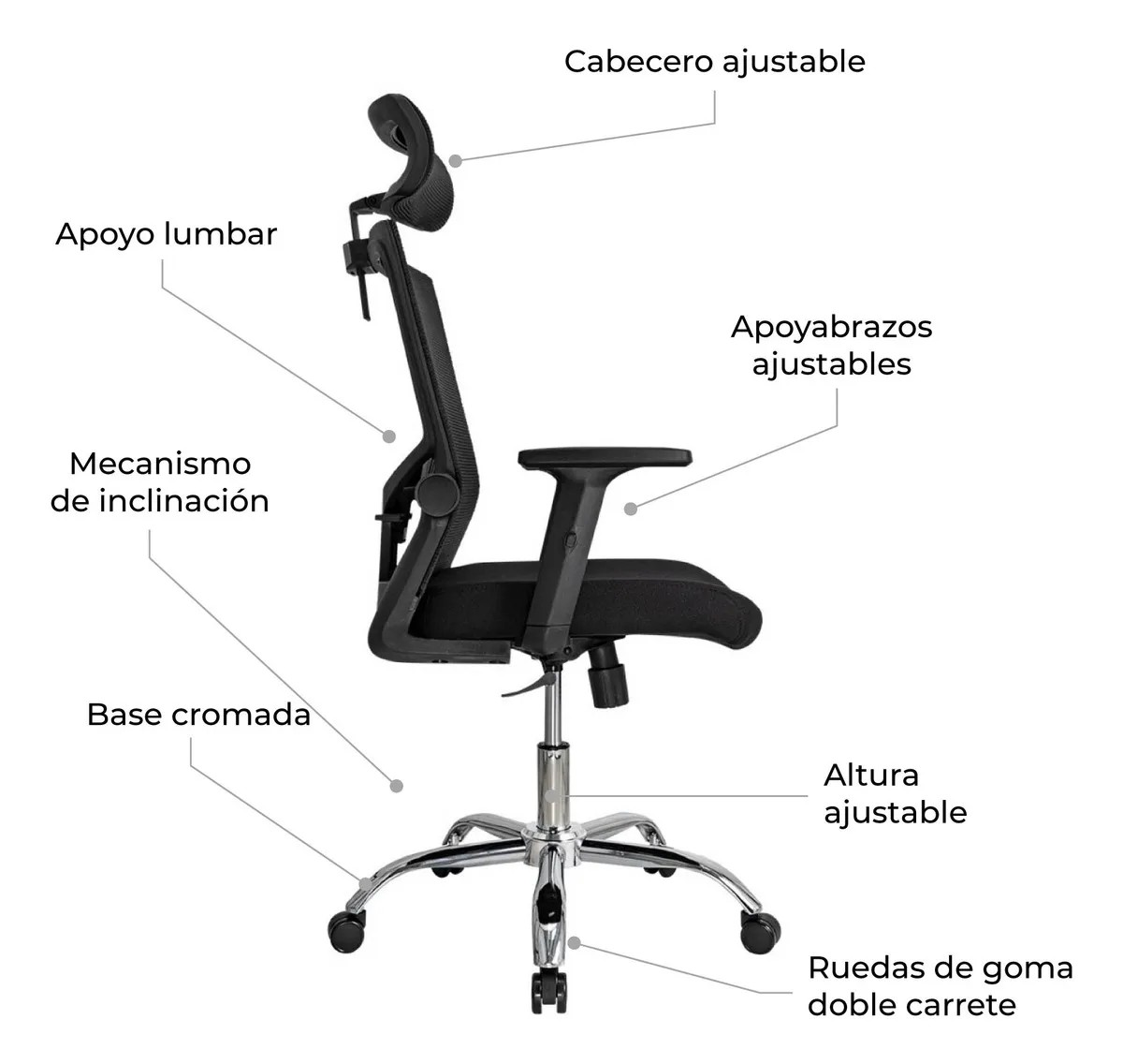 ergonomic high back staff chair, high back ergonomic office chair, ergonomic office chair high back, staff chair high back ergonomic, high back staff chair with lumbar support, ergonomic task chair high back, office chair high back ergonomic, professional ergonomic high back chair, high back office seating ergonomic, ergonomic staff seating high back, executive staff chair high back, comfortable high back office chair, high back office chair for long hours, ergonomic swivel chair high back, high back staff chair with adjustable height, ergonomic chair for employees high back, high back office chair with lumbar support, ergonomic workstation chair high back, high back computer chair ergonomic, high back executive staff chair, ergonomic chair for workplace high back, high back office seating solution, staff chair ergonomic design high back, office furniture ergonomic high back chair, ergonomic high back chair with armrests, high back staff chair with tilt function, high back staff chair with recline mechanism, ergonomic high back chair with lumbar adjustment, high back office chair with mesh back, high back ergonomic chair with mesh support, ergonomic mesh chair high back, high back mesh office chair ergonomic, breathable high back staff chair, ergonomic high back chair with cushion, high back chair with padded seat ergonomic, staff chair high back with adjustable armrests, ergonomic chair with tilt lock high back, high back staff chair with 360 swivel, high back rolling staff chair ergonomic, office chair high back with caster wheels, ergonomic high back chair professional use, high back task chair ergonomic design, staff chair for office employees high back, ergonomic high back seating for staff, high back chair for workstations ergonomic, office chair ergonomic back support high back, staff chair with lumbar support high back, ergonomic high back chair with gas lift, high back staff chair with contoured backrest, ergonomic chair with armrest adjustment high back, high back chair for long sitting hours ergonomic, staff seating solution high back ergonomic, high back office chair for executive staff, ergonomic professional high back chair, high back chair for admin staff ergonomic, ergonomic office staff chair high back, high back chair for IT staff ergonomic, ergonomic workstation seating high back, high back chair for call center staff ergonomic, high back office seating furniture ergonomic, staff chair modern ergonomic high back, high back chair minimalist ergonomic design, ergonomic chair sleek office high back, high back chair contemporary office ergonomic, staff chair high back stylish ergonomic, ergonomic high back chair durable construction, high back staff chair strong frame, ergonomic high back chair commercial grade, high back office chair heavy duty ergonomic, staff chair long lasting high back, ergonomic high back chair maintenance free, high back chair easy to clean ergonomic, ergonomic chair breathable mesh high back, high back office chair professional aesthetics, ergonomic chair modern office high back, high back staff chair corporate furniture, ergonomic high back chair institutional use, high back office chair contract grade, staff chair ergonomic high back for daily use, high back ergonomic seating for prolonged use, office chair ergonomic back care high back, ergonomic chair posture support high back, high back staff chair anti fatigue ergonomic, ergonomic office chair spinal support high back, high back task chair for productivity, staff chair ergonomic design for comfort high back, high back chair ergonomic adjustable height, ergonomic high back chair multi-functional, high back staff chair for corporate offices, office furniture ergonomic seating high back, ergonomic chair for business offices high back, high back executive staff chair ergonomic, ergonomic staff chair with tilt and swivel high back, high back chair for directors office ergonomic, ergonomic office seating solution high back, high back office chair for professionals ergonomic, staff chair ergonomic support system high back, high back chair with reinforced base ergonomic, ergonomic chair high back with caster wheels, staff chair ergonomic mesh support high back, high back office chair ergonomic lumbar, ergonomic chair for administrative staff high back, high back chair professional comfort ergonomic, ergonomic high back seating for workstations, high back chair for staff room ergonomic, office chair ergonomic posture high back, ergonomic chair with tilt tension high back, high back chair for productivity ergonomic, staff seating ergonomic solution high back, ergonomic high back chair corporate workspace, high back office chair modern ergonomic, ergonomic chair office staff comfort high back, high back ergonomic chair for long duration seating, staff chair high back office furniture, ergonomic chair strong frame high back, high back office chair adjustable ergonomic features, ergonomic high back staff chair premium design, high back chair ergonomic reliable seating, ergonomic chair for professional environment high back, staff chair ergonomic high back with lumbar support, high back office seating comfortable ergonomic, ergonomic high back chair for IT workstations, high back chair ergonomically designed for staff, ergonomic high back chair for managers office, high back chair ergonomic furniture solution, staff chair ergonomic high back office setup, high back chair with tilt, recline, and swivel ergonomic, ergonomic office chair high back for executive staff, high back chair premium office ergonomic seating, ergonomic high back office chair commercial use, high back chair ergonomic daily office use, staff chair ergonomic design professional high back, high back ergonomic mesh task chair, ergonomic staff seating solution high back, high back chair for corporate workspace ergonomic