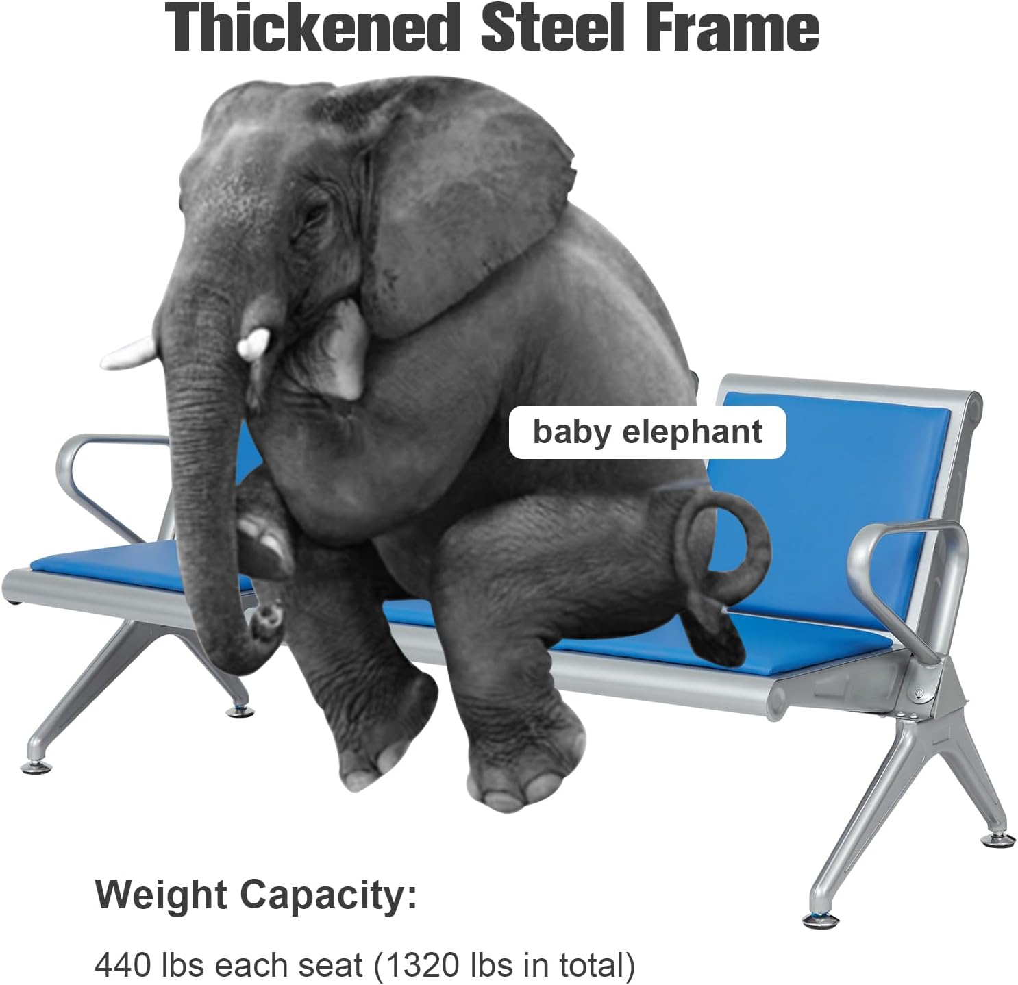 3-link padded reception bench, three link padded reception bench, 3 link padded waiting bench, padded reception bench 3 link, reception seating 3-link padded bench, office reception padded bench 3 link, 3 link padded visitor bench, padded waiting area bench 3 link, reception bench with padding 3 link, 3 link padded lobby bench, office waiting bench padded 3 link, 3 link padded metal reception bench, padded reception seating bench 3 link, 3 link padded bench for waiting area, reception bench 3 link cushioned seats, padded 3 link visitor bench, office reception seating padded bench 3 link, 3 link padded bench for office lobby, padded 3 link reception furniture, waiting room padded bench 3 link, 3 link padded public seating bench, padded reception bench with armrests 3 link, 3 link padded bench professional reception seating, office lobby padded bench 3 link, padded 3 link bench for visitors, reception bench padded metal frame 3 link, 3 link padded bench corporate office, padded reception bench for hospitals 3 link, 3 link padded bench for clinics reception, padded waiting bench 3 link durable, 3 link padded bench modern reception design, padded 3 link bench comfortable seating, office reception padded waiting bench 3 link, 3 link padded bench for commercial spaces, padded reception bench 3 link heavy duty, 3 link padded bench airport style seating, padded waiting area seating bench 3 link, 3 link padded bench for banks reception, padded reception seating bench 3 link professional, 3 link padded bench office furniture, padded bench seating 3 link waiting area, reception bench padded stainless steel 3 link, 3 link padded bench ergonomic seating, padded 3 link bench easy maintenance, reception padded bench for front office 3 link, 3 link padded bench modern office furniture, padded reception bench 3 link long lasting, 3 link padded bench for customer waiting area, padded reception bench 3 link premium quality, office waiting area padded bench 3 link, 3 link padded bench stylish reception seating, padded reception bench 3 link value furniture, 3 link padded bench reliable waiting seating, padded reception bench 3 link commercial furniture, 3 link padded bench for public reception spaces, padded reception bench 3 link contemporary design, 3 link padded bench reception area essential, padded reception bench 3 link furniture catalog, 3 link padded reception bench SEO product, padded reception bench ecommerce listing 3 link, 3 link padded reception bench professional seating solution.