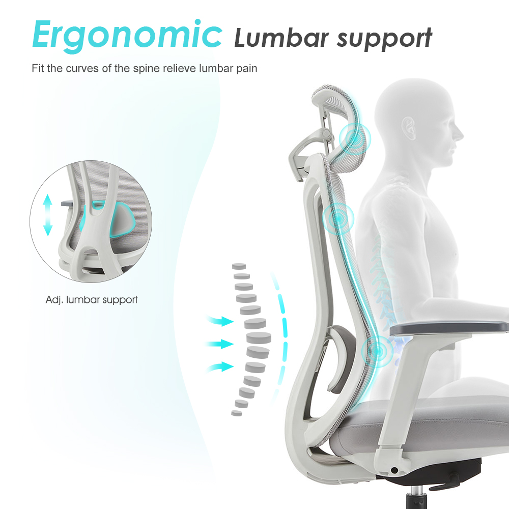 orthopedic office chair, office orthopedic chair, ergonomic orthopedic office chair, orthopedic desk chair, orthopedic computer chair, orthopedic swivel chair, orthopedic task chair, orthopedic executive chair, orthopedic mesh office chair, orthopedic leather office chair, orthopedic office chair for back support, orthopedic office chair for posture correction, orthopedic office chair for long hours, orthopedic office chair for lumbar support, orthopedic office chair for spine alignment, orthopedic office chair for neck support, orthopedic office chair for comfortable sitting, orthopedic office chair for office work, orthopedic office chair for home office, orthopedic office chair for students, orthopedic office chair for professionals, orthopedic office chair for programmers, orthopedic office chair for designers, orthopedic office chair for gamers, orthopedic office chair with adjustable height, orthopedic office chair with armrests, orthopedic office chair with headrest, orthopedic office chair with backrest, orthopedic office chair with memory foam, orthopedic office chair with padded seat, orthopedic office chair with breathable mesh, orthopedic office chair with ergonomic design, orthopedic office chair with tilt function, orthopedic office chair with reclining feature, orthopedic office chair with caster wheels, orthopedic office chair with swivel base, orthopedic office chair with steel frame, orthopedic office chair with sturdy build, orthopedic office chair with premium materials, orthopedic office chair with modern design, orthopedic office chair with sleek finish, orthopedic office chair for workplace comfort, orthopedic office chair for corporate office, orthopedic office chair for study desk, orthopedic office chair for computer desk, orthopedic office chair for workstation, orthopedic office chair for conference room, orthopedic office chair for office setup, orthopedic office chair for home setup, orthopedic office chair with pressure relief seat, orthopedic office chair with ergonomic contour, orthopedic office chair for productivity, orthopedic office chair for daily use, orthopedic office chair with lumbar cushion, orthopedic office chair with neck cushion, orthopedic office chair with adjustable backrest, orthopedic office chair for improved posture, orthopedic office chair with professional appearance, orthopedic office chair with stylish design, orthopedic office chair for healthcare settings, orthopedic office chair for school use, orthopedic office chair for hospital use, orthopedic office chair with long-lasting durability, orthopedic office chair with heavy-duty construction, orthopedic office chair with reliable support, orthopedic office chair with comfortable cushioning, orthopedic office chair for extended sitting, orthopedic office chair for home study, orthopedic office chair for office interiors, orthopedic office chair with functional design, orthopedic office chair with versatile use, orthopedic office chair with ergonomic support system, orthopedic office chair for optimal spine health, orthopedic office chair with smooth mobility, orthopedic office chair with easy-clean surface, orthopedic office chair for modern office setup, orthopedic office chair for professional workspace, orthopedic office chair with high-quality finish, orthopedic office chair for long-term use, orthopedic office chair with adjustable lumbar support, orthopedic office chair with customizable seating position, orthopedic office chair for user-friendly comfort, orthopedic office chair for efficient workflow, orthopedic office chair for collaborative workspace, orthopedic office chair for everyday office use, orthopedic office chair for corporate environments, orthopedic office chair with balanced support, orthopedic office chair with stable seating, orthopedic office chair with ergonomic posture alignment, orthopedic office chair for small spaces, orthopedic office chair for large offices, orthopedic office chair with modern and functional design, orthopedic office chair for home and office use, orthopedic office chair with professional look, orthopedic office chair with smooth surface, orthopedic office chair with high-end office appeal, orthopedic office chair with ergonomic contour for improved comfort, orthopedic office chair with durable and strong frame, orthopedic office chair with practical features, orthopedic office chair with long-lasting comfort, orthopedic office chair for office, home, school, corporate, and professional setups