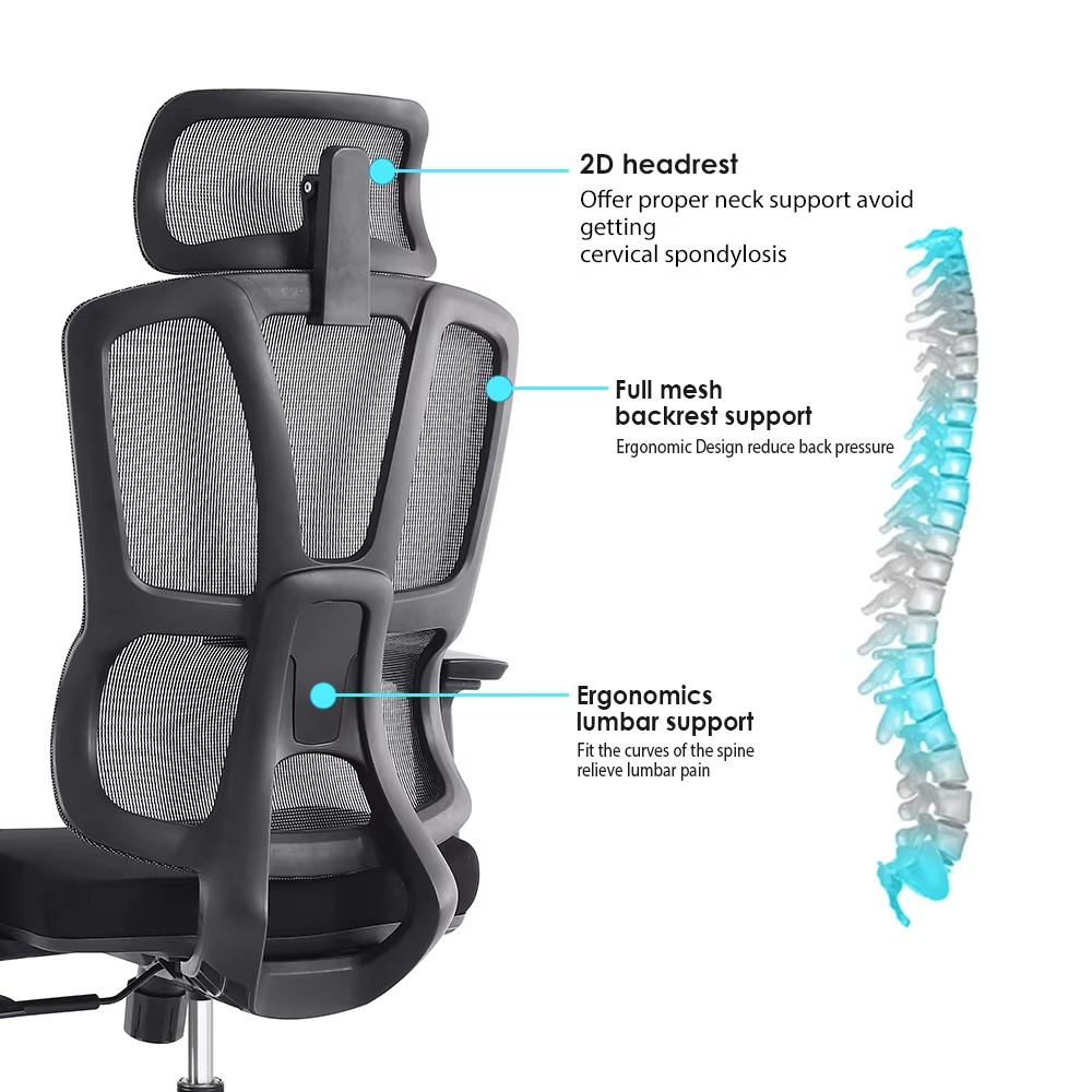 orthopedic office chair, office orthopedic chair, ergonomic orthopedic chair, orthopedic chair with lumbar support, orthopedic mesh chair, orthopedic executive chair, orthopedic desk chair, orthopedic computer chair, orthopedic swivel chair, orthopedic chair with armrests, orthopedic chair with headrest, orthopedic adjustable chair, orthopedic chair with height adjustment, orthopedic office seating, orthopedic desk seating, orthopedic workstation chair, orthopedic office furniture, orthopedic professional chair, orthopedic corporate chair, orthopedic manager chair, orthopedic director chair, orthopedic CEO chair, orthopedic guest chair, orthopedic client chair, orthopedic reception chair, orthopedic waiting chair, orthopedic lobby chair, orthopedic commercial chair, orthopedic office chair modern, orthopedic office chair contemporary, orthopedic office chair stylish, orthopedic office chair luxury, orthopedic office chair premium, orthopedic office chair durable, orthopedic office chair heavy duty, orthopedic office chair high quality, orthopedic office chair long lasting, orthopedic office chair functional, orthopedic office chair comfortable, orthopedic office chair padded, orthopedic office chair cushioned, orthopedic office chair breathable, orthopedic office chair mesh back, orthopedic office chair fabric seat, orthopedic office chair leather seat, orthopedic office chair wooden frame, orthopedic office chair steel frame, orthopedic office chair metal frame, orthopedic office chair with wheels, orthopedic office chair with casters, orthopedic office chair with swivel base, orthopedic office chair with tilt mechanism, orthopedic office chair recliner, orthopedic office chair multi-functional, orthopedic office chair space-saving, orthopedic office chair compact, orthopedic office chair lightweight, orthopedic office chair stackable, orthopedic office chair foldable, orthopedic office chair scratch resistant, orthopedic office chair stain resistant, orthopedic office chair waterproof, orthopedic office chair anti-slip, orthopedic office chair ergonomic design, orthopedic office chair posture support, orthopedic office chair healthy posture, orthopedic office chair long sitting, orthopedic office chair desk compatible, orthopedic office chair workstation compatible, orthopedic office chair adjustable backrest, orthopedic office chair adjustable seat, orthopedic office chair for manager, orthopedic office chair for director, orthopedic office chair for CEO, orthopedic office chair for staff, orthopedic office chair for employees, orthopedic office chair for corporate office, orthopedic office chair for professional office, orthopedic office chair for commercial office, orthopedic office chair for home office, orthopedic office chair for study room, orthopedic office chair for computer desk, orthopedic office chair for workstation, orthopedic office chair for home study, orthopedic office chair for office meeting room, orthopedic office chair for conference room, orthopedic office chair for boardroom, orthopedic office chair for coworking office, orthopedic office chair for startup office, orthopedic office chair for IT office, orthopedic office chair for creative office, orthopedic office chair for executive office, orthopedic office chair for reception area, orthopedic office chair for waiting area, orthopedic office chair for lobby, orthopedic office chair for classroom, orthopedic office chair for library, orthopedic office chair for hospital, orthopedic office chair for clinic, orthopedic office chair for hotel, orthopedic office chair for spa, orthopedic office chair for salon, orthopedic office chair with modern interiors, orthopedic office chair with contemporary interiors, orthopedic office chair with stylish interiors, orthopedic office chair with luxury interiors, orthopedic office chair with professional interiors, orthopedic office chair for commercial interiors, orthopedic office chair with ergonomic seating, orthopedic office chair with comfortable seating, orthopedic office chair with padded seat, orthopedic office chair with cushioned seat, orthopedic office chair with breathable mesh, orthopedic office chair with supportive back, orthopedic office chair with durable frame, orthopedic office chair with premium materials, orthopedic office chair for productivity, orthopedic office chair for efficiency, orthopedic office chair for health, orthopedic office chair for comfort, orthopedic office chair for employees, orthopedic office chair for clients, orthopedic office chair for visitors, orthopedic office chair for students, orthopedic office chair for professionals, orthopedic office chair for adults, orthopedic office chair for office staff, orthopedic office chair for managers, orthopedic office chair for executives, orthopedic office chair for home study, orthopedic office chair for corporate setting, orthopedic office chair for professional environment, orthopedic office chair for office interiors, orthopedic office chair for commercial interiors, orthopedic office chair for workspaces, orthopedic office chair for small offices, orthopedic office chair for large offices, orthopedic office chair B2B, orthopedic office chair wholesale, orthopedic office chair bulk purchase, orthopedic office chair supplier, orthopedic office chair manufacturer, orthopedic office chair showroom, orthopedic office chair contract furniture, orthopedic office chair modular design, orthopedic office chair customizable, orthopedic office chair high quality construction, orthopedic office chair long-lasting build, orthopedic office chair modern design, orthopedic office chair contemporary design, orthopedic office chair stylish design, orthopedic office chair premium design, orthopedic office chair luxury design, orthopedic office chair SEO tags, orthopedic office chair keywords, orthopedic office chair product tags, orthopedic office chair meta tags, orthopedic office chair ecommerce SEO, orthopedic office chair Shopify tags, orthopedic office chair WooCommerce tags, orthopedic office chair 1000 SEO tags, office furniture chair, professional office chair, commercial office chair, corporate office chair, ergonomic office chair, premium office chair, luxury office chair, modern office chair, contemporary office chair, stylish office chair, functional office chair, comfortable office chair, durable office chair, high quality office chair, long lasting office chair, heavy duty office chair, padded office chair, cushioned office chair, breathable office chair, mesh office chair, fabric office chair, leather office chair, wooden office chair, steel office chair, metal office chair, compact office chair, space-saving office chair, stackable office chair, foldable office chair, swivel office chair, rolling office chair, caster wheels office chair, tilt mechanism office chair, adjustable height office chair, multi-functional office chair, workstation chair, desk chair, computer chair, study chair, writing desk chair, ergonomic support chair, healthy posture chair, productivity chair, professional seating solution, commercial seating solution, corporate seating solution,