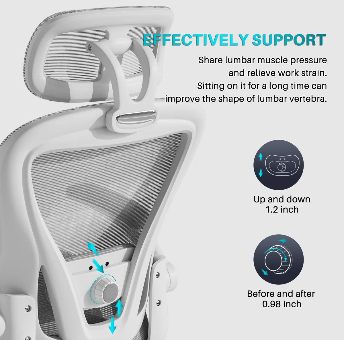 ergonomic office chair, office chair, ergonomic chair, executive office chair, mesh office chair, leather office chair, computer chair, desk chair, task chair, workstation chair, swivel office chair, adjustable office chair, reclining office chair, high back office chair, mid back office chair, ergonomic desk chair, office seating, ergonomic seating, lumbar support chair, office chair with lumbar support, adjustable lumbar support, posture support chair, spine support chair, orthopedic office chair, back support chair, neck support chair, office chair with headrest, adjustable headrest chair, adjustable armrest chair, height adjustable office chair, office chair with wheels, rolling office chair, caster wheel chair, breathable mesh chair, mesh back chair, office chair for long hours, office comfort chair, chair for back support, chair for posture correction, chair for computer work, office furniture, ergonomic office furniture, workspace furniture, executive office furniture, commercial office chair, corporate office chair, business office chair, professional office chair, premium office chair, luxury office chair, modern office chair, contemporary office chair, stylish office chair, comfortable office chair, home office chair, work from home chair, study chair, office chair with padded seat, office chair with premium cushioning, office chair with high density foam, office chair with breathable backrest, office chair with durable frame, office chair with reinforced base, office chair with smooth mobility, office chair with synchronized tilt, office chair with adjustable recline, office chair with adjustable seat height, ergonomic chair with dynamic support, ergonomic chair with 3D armrests, office chair with flexible backrest, office chair with ergonomic support, office chair with superior lumbar support, office chair with adjustable support, office chair with premium materials, office chair with reliable performance, office chair with enhanced comfort, office chair with ergonomic technology, office chair with advanced support system, office chair with balanced support, office chair with personalized comfort, office chair with innovative support system, office chair with optimized seating, office chair with practical ergonomics, office chair with sleek modern design, office chair with luxury finish, office chair with timeless appeal, office chair with professional appearance, office chair with premium office aesthetics, office chair with refined craftsmanship, office chair with premium build quality, office chair with long lasting durability, office chair for executives, office chair for managers, office chair for employees, office chair for professionals, office chair for students, office chair for corporate offices, office chair for business environments, office chair for commercial spaces, office chair for executive cabins, office chair for modern workplaces, office chair for professional workspaces, office chair for workplace wellness, ergonomic chair for healthy posture, ergonomic chair for daily use, ergonomic chair for remote work, ergonomic chair for computer work, ergonomic chair for all day comfort, office chair online, buy ergonomic office chair, best ergonomic office chair, affordable ergonomic chair, premium ergonomic office chair, office chair sale, office chair deals, office furniture online, office seating furniture, ergonomic office furniture collection, office chair with polished finish, office chair with high quality materials, office chair with decorative stitching, office chair with chrome base, office chair with strong nylon base, office chair with premium seating experience, office chair with breathable airflow, office chair with supportive backrest, office chair with durable mesh back, office chair with quality craftsmanship, office chair with contemporary style, office chair with executive appeal, office chair with functional design, office chair with exceptional durability, office chair with dependable performance, office chair for productive work, office chair for office setup, ergonomic workstation chair, premium ergonomic seating, executive ergonomic chair, modern ergonomic office seating, healthy workspace chair, ergonomic computer chair, ergonomic swivel chair, premium office seating solution, adjustable ergonomic chair, commercial ergonomic chair, executive mesh office chair, professional ergonomic seating.