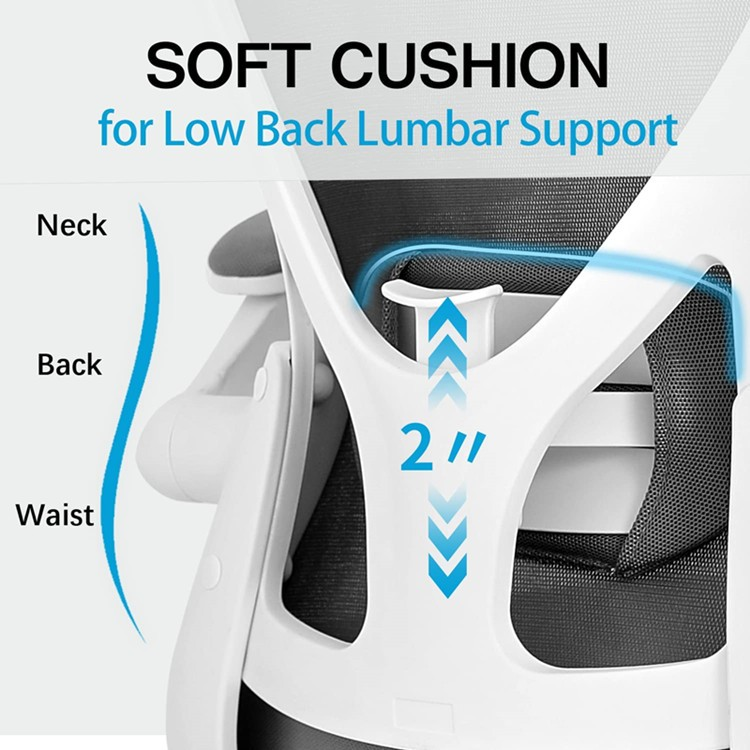 ergonomic office chair, office chair, ergonomic chair, executive office chair, mesh office chair, leather office chair, computer chair, desk chair, task chair, workstation chair, swivel office chair, adjustable office chair, reclining office chair, high back office chair, mid back office chair, ergonomic desk chair, office seating, ergonomic seating, lumbar support chair, office chair with lumbar support, adjustable lumbar support, posture support chair, spine support chair, orthopedic office chair, back support chair, neck support chair, office chair with headrest, adjustable headrest chair, adjustable armrest chair, height adjustable office chair, office chair with wheels, rolling office chair, caster wheel chair, breathable mesh chair, mesh back chair, office chair for long hours, office comfort chair, chair for back support, chair for posture correction, chair for computer work, office furniture, ergonomic office furniture, workspace furniture, executive office furniture, commercial office chair, corporate office chair, business office chair, professional office chair, premium office chair, luxury office chair, modern office chair, contemporary office chair, stylish office chair, comfortable office chair, home office chair, work from home chair, study chair, office chair with padded seat, office chair with premium cushioning, office chair with high density foam, office chair with breathable backrest, office chair with durable frame, office chair with reinforced base, office chair with smooth mobility, office chair with synchronized tilt, office chair with adjustable recline, office chair with adjustable seat height, ergonomic chair with dynamic support, ergonomic chair with 3D armrests, office chair with flexible backrest, office chair with ergonomic support, office chair with superior lumbar support, office chair with adjustable support, office chair with premium materials, office chair with reliable performance, office chair with enhanced comfort, office chair with ergonomic technology, office chair with advanced support system, office chair with balanced support, office chair with personalized comfort, office chair with innovative support system, office chair with optimized seating, office chair with practical ergonomics, office chair with sleek modern design, office chair with luxury finish, office chair with timeless appeal, office chair with professional appearance, office chair with premium office aesthetics, office chair with refined craftsmanship, office chair with premium build quality, office chair with long lasting durability, office chair for executives, office chair for managers, office chair for employees, office chair for professionals, office chair for students, office chair for corporate offices, office chair for business environments, office chair for commercial spaces, office chair for executive cabins, office chair for modern workplaces, office chair for professional workspaces, office chair for workplace wellness, ergonomic chair for healthy posture, ergonomic chair for daily use, ergonomic chair for remote work, ergonomic chair for computer work, ergonomic chair for all day comfort, office chair online, buy ergonomic office chair, best ergonomic office chair, affordable ergonomic chair, premium ergonomic office chair, office chair sale, office chair deals, office furniture online, office seating furniture, ergonomic office furniture collection, office chair with polished finish, office chair with high quality materials, office chair with decorative stitching, office chair with chrome base, office chair with strong nylon base, office chair with premium seating experience, office chair with breathable airflow, office chair with supportive backrest, office chair with durable mesh back, office chair with quality craftsmanship, office chair with contemporary style, office chair with executive appeal, office chair with functional design, office chair with exceptional durability, office chair with dependable performance, office chair for productive work, office chair for office setup, ergonomic workstation chair, premium ergonomic seating, executive ergonomic chair, modern ergonomic office seating, healthy workspace chair, ergonomic computer chair, ergonomic swivel chair, premium office seating solution, adjustable ergonomic chair, commercial ergonomic chair, executive mesh office chair, professional ergonomic seating.